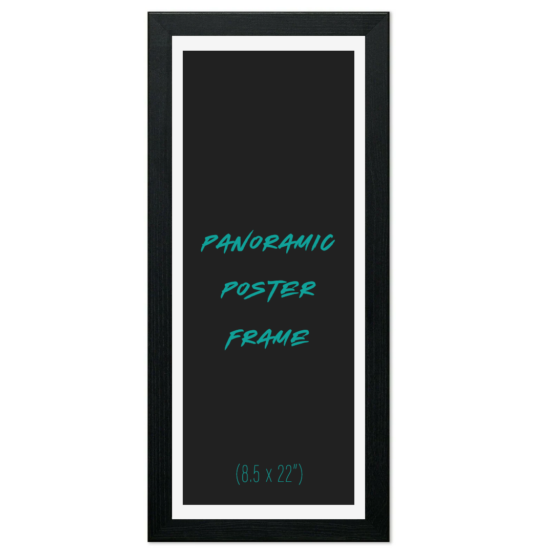 Panoramic Frame (8.5" X 22")