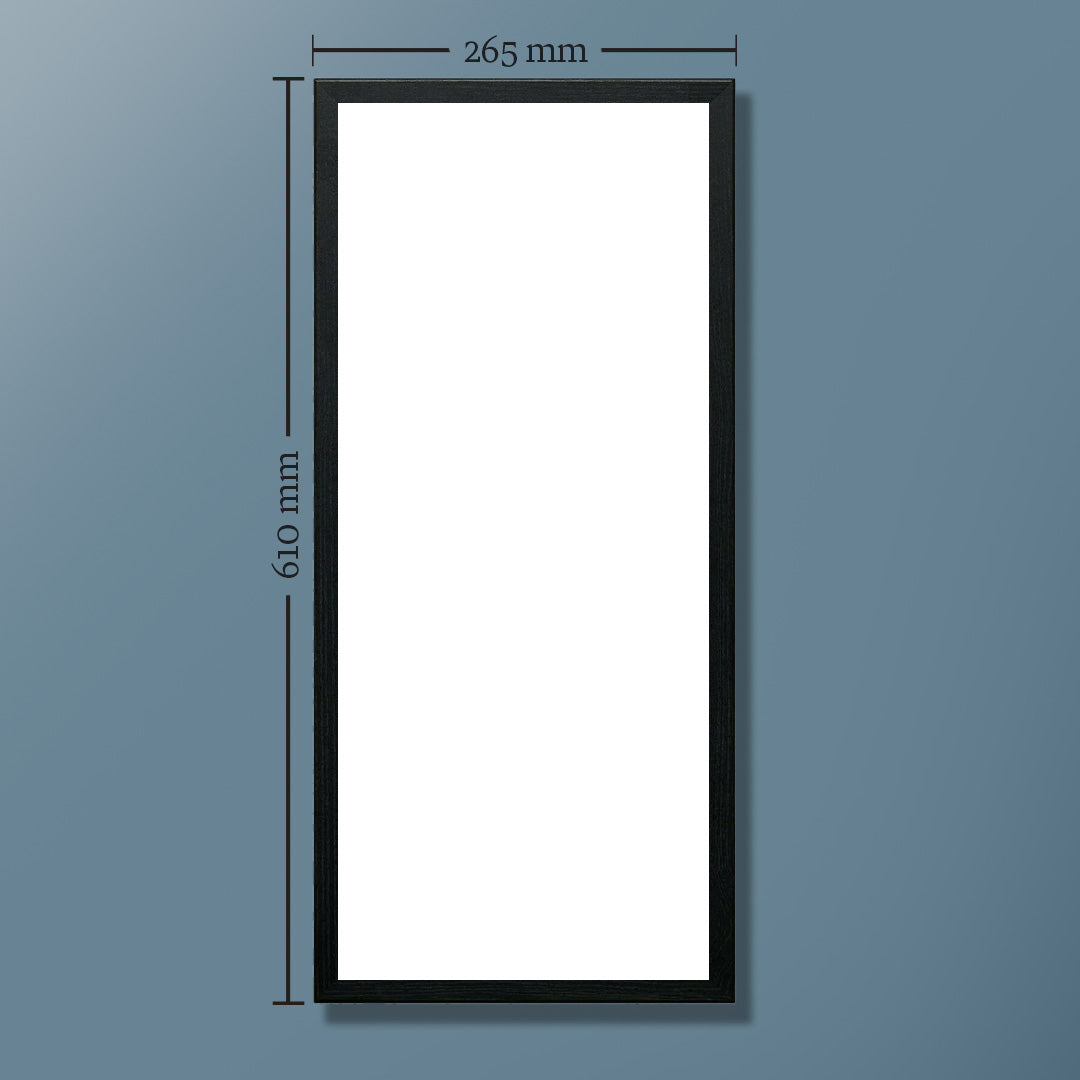 Panoramic Frame (8.5" X 22")