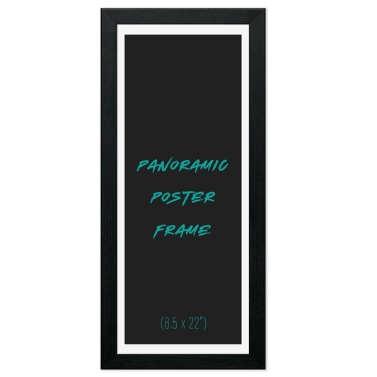 Panoramic Frame (8.5" X 22")