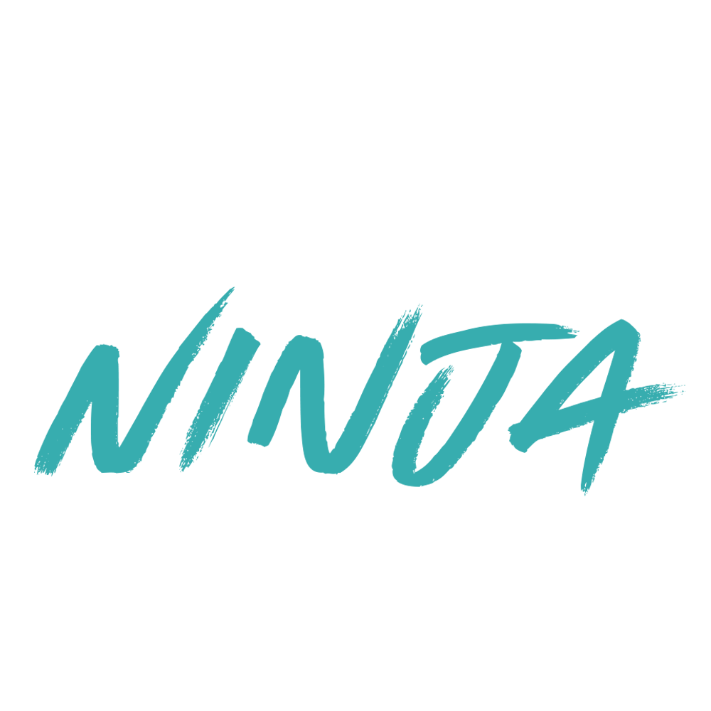 Geeky Ninja